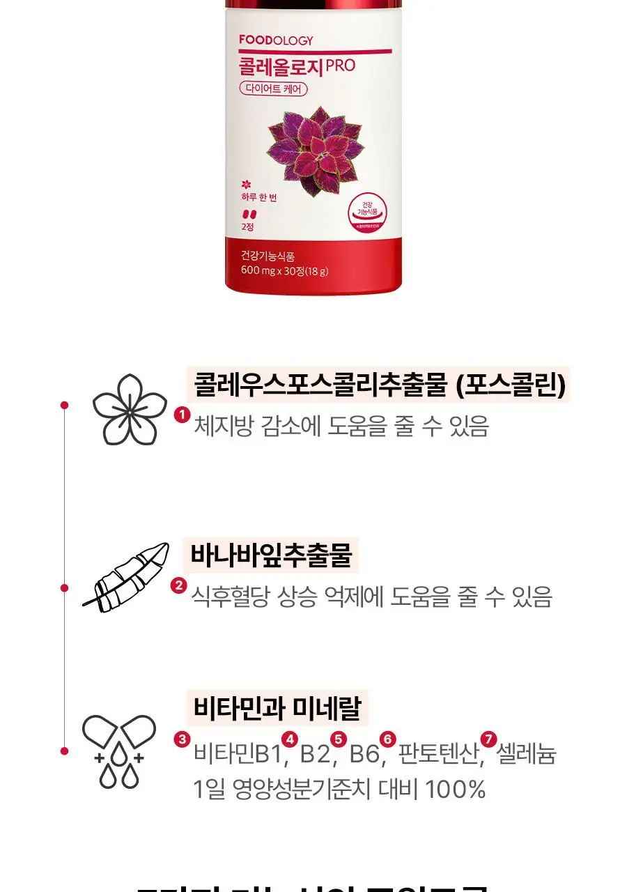 [헬로키티콜라보] 콜레올로지 PRO 600mg*30/60정 단품/기획(+키링증정) 상세페이지 27